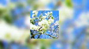 Чумачечая Весна (SpeedUp)