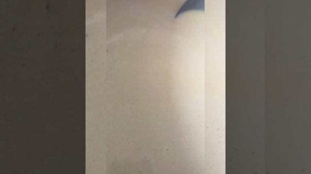 Шах-плов смотреть онлайн