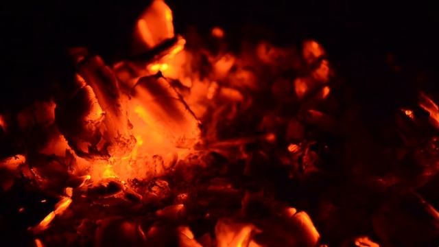 Костер при раскате грома и мурлыкающий кот смотреть онлайн