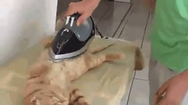 Я не это имел ввиду когда говорил ,,погладьте меня" смотреть онлайн