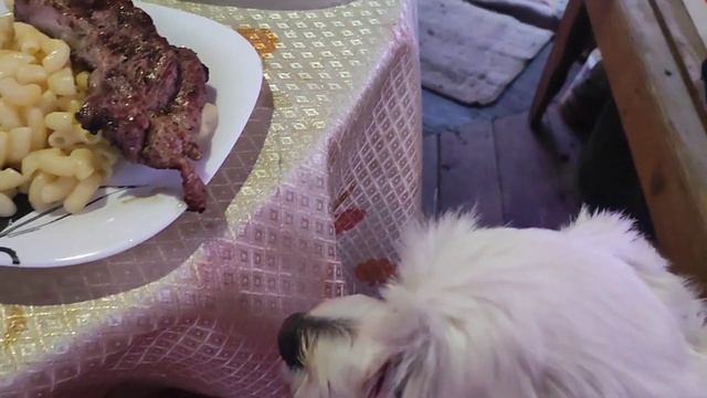 ВЕЧЕРНИЙ МУКБАНГ🥓ХОРОШО ПОТРУДИЛИСЬ-ХОРОШО ОТДОХНУЛИ смотреть онлайн