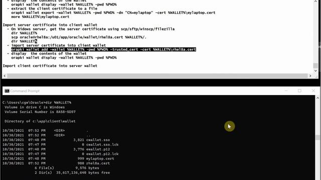 Configure Oracle TLS Connection смотреть онлайн