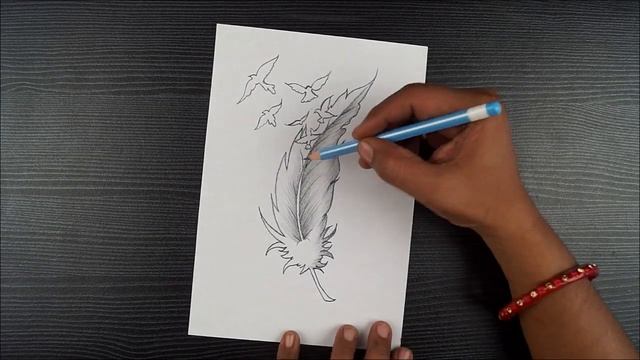 How To Draw Bird Feather || Bird Feather Drawing With Pencil || Step By Step || Pencil sketching смотреть онлайн
