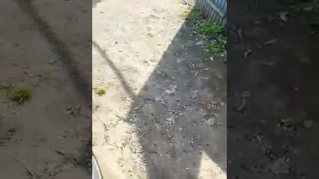 Куплена ЯВА. Как не должна работать ЯВА. смотреть онлайн