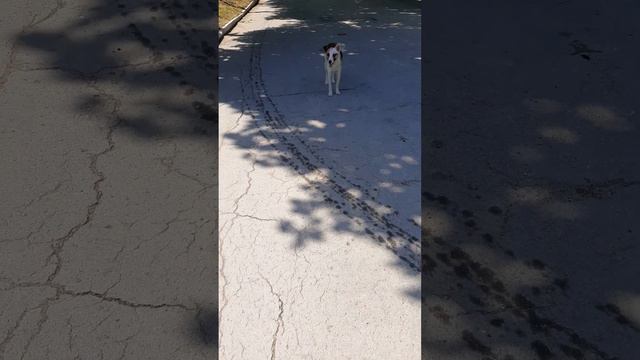 Куда бы ты не шел, иди вперед, не заблуждайся, дороги нет назад, забудь о прошлом, новые планы стро