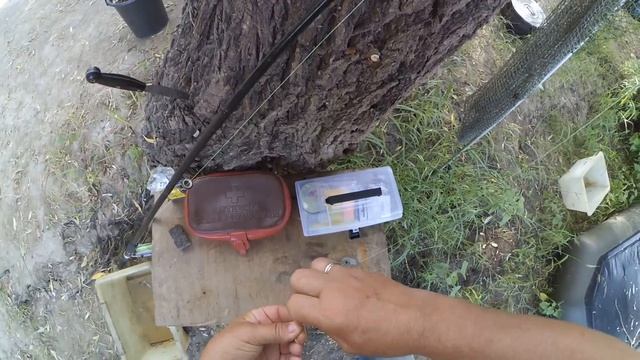 Харабалык - рыбная речка. Ловим на макушатник Сазанчик 3,5кг смотреть онлайн