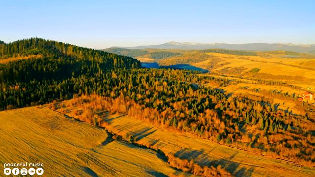 Yспокаивающая музыка для нервов 🌿 лечебная музыка для сердца и сосудов, релакс, музыка для душ смотреть онлайн