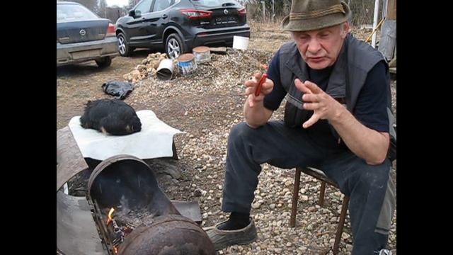 Рассуждалки о карабинах Тигр и Вепрь. Обсуждение комментов. Розыгрыш. смотреть онлайн