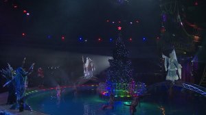 Отличникам Кисловодска подарили билеты в цирк
