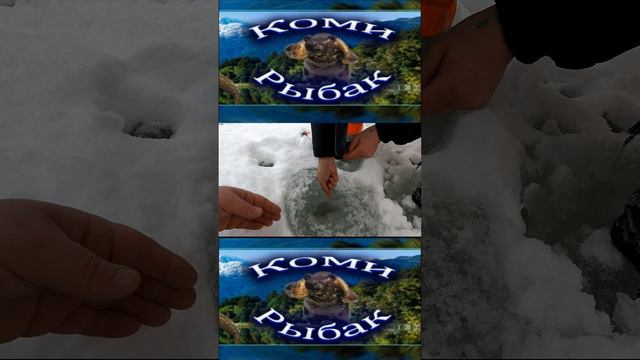 Здоровенный ХАРИУС на леску 0 14 смотреть онлайн