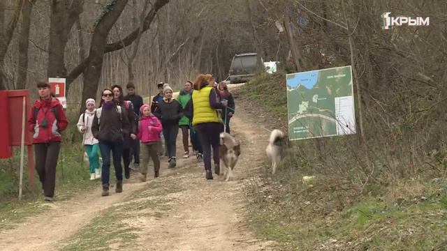 Клуб Шико смотреть онлайн
