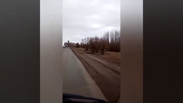 Нижний Новгород - Лукоянов. И обратно. смотреть онлайн
