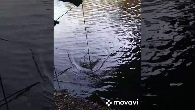 РЫБАЛКА НА ПОИСКОВЫЙ МАГНИТ, НОЖИ ПОД МОСТОМ, КРИМИНАЛЬНЫЕ НАХОДКИ. смотреть онлайн