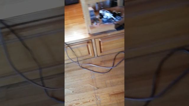 Усилитель Yamaha AX 500, акустика Klipsch RF 82 смотреть онлайн