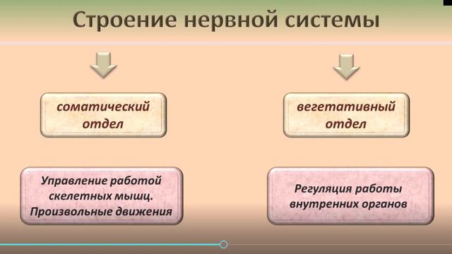 Видео 14 02 2023 135557 смотреть онлайн