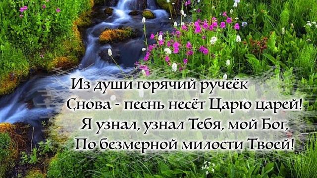 Я опять пою Тебе, мой Бог! Елена Ваймер смотреть онлайн