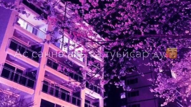 Тахан ахь са дохийн дог?- Шамиль Дидигов Дакаев Эльбяк?? смотреть онлайн