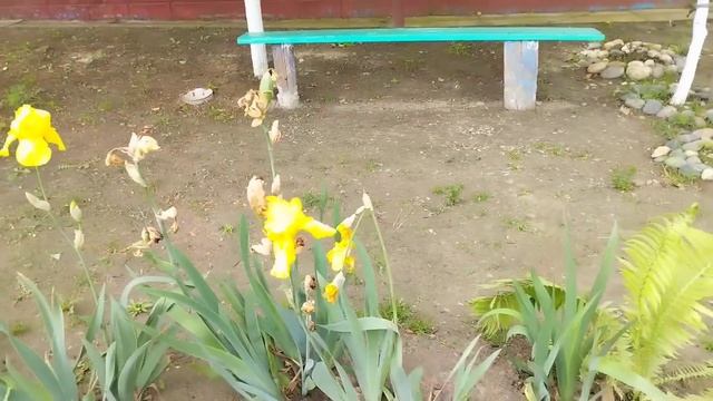 переезд на Юг/ День СОСЕДА- традиции нашего села/ смотреть онлайн