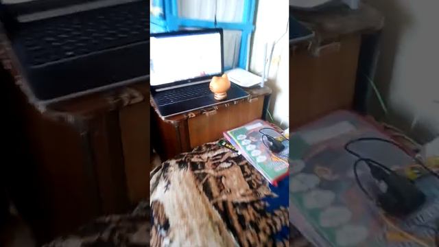 Как проходит мой день с котом 😺😻 смотреть онлайн