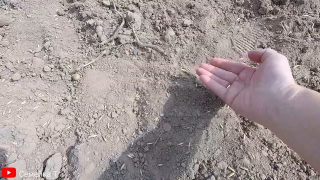 Борона и минитрактор-самоделка. Тракторок-переломка с двигателем от мотоблока смотреть онлайн
