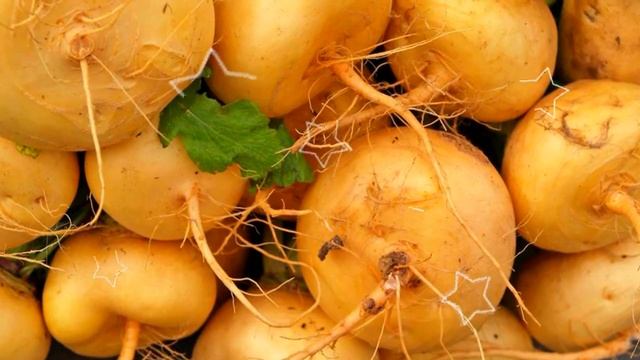 РЕПА ПОЛЬЗА И ВРЕД | польза репки, репа и ее полезность, противопоказания репы, все про репу смотреть онлайн