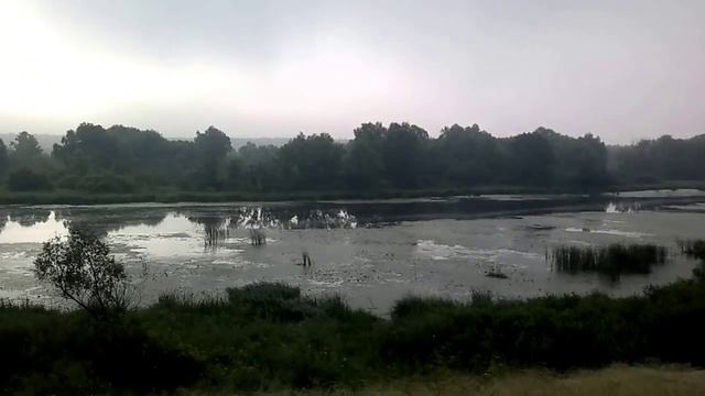озеро Линево НСО смотреть онлайн