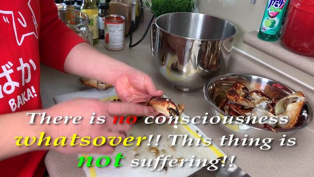 Crab Lovers: Eat THIS, or MISS out!! 【Singapore Chili Crab】 смотреть онлайн