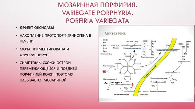 7 Мозаичная порфирия. Variegate porphyria. Porfiria variegata смотреть онлайн