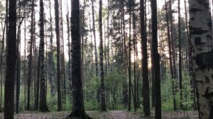 Измену жены выдал совершенно неожиданный для мужа человек. Интересные истории измен, аудио рассказ