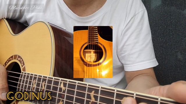 CRAFTER / GODINUS / CRAFTER KOREA / LR BAGGS / CRAFTER GUITARS / LR-T NX GOLD PREAMP-ELEMENT