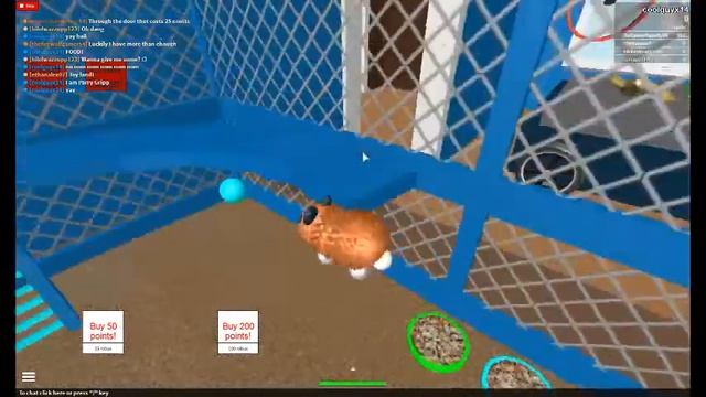 Roblox Hamster Simulator Toy Land смотреть онлайн