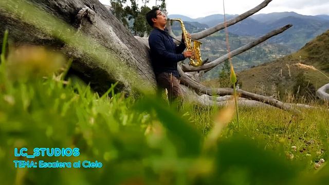 ESCALERA AL CIELO (bo go ship da) cover saxo alto смотреть онлайн