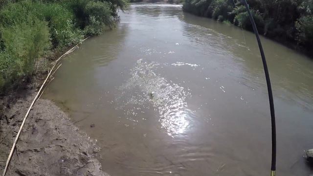 Рыбалка 2.05.2017 - Снарядом задело смотреть онлайн