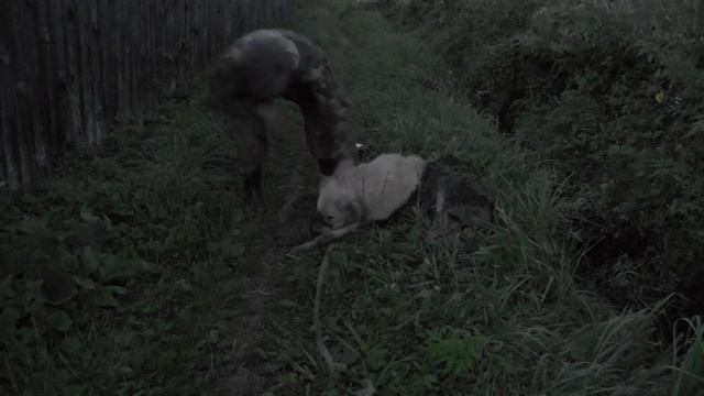 Спасение выброшеной собачки (ПОЛНАЯ ВЕРСИЯ) смотреть онлайн