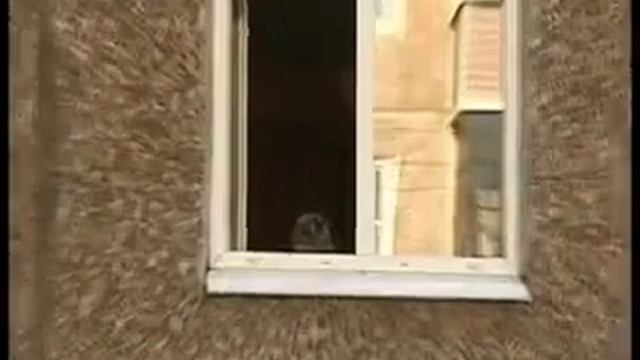 Благоустройство двора на Мира смотреть онлайн