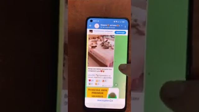 Как найти чат в телеграме