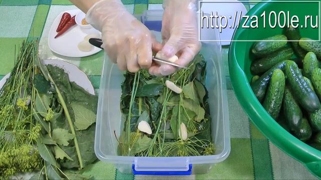 Малосольные огурцы видео рецепт смотреть онлайн