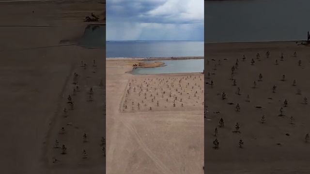 Сдам посуточно уютную квартиру в Санкт-Петербурге на берегу моря с потрясающим панорамным видом! смотреть онлайн