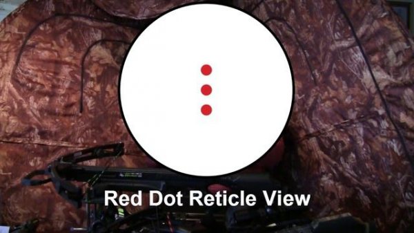 Barnett Crossbows- C5 Wildcat & BCX Buck Commander Extreme - Deer and Hog Kill Shots