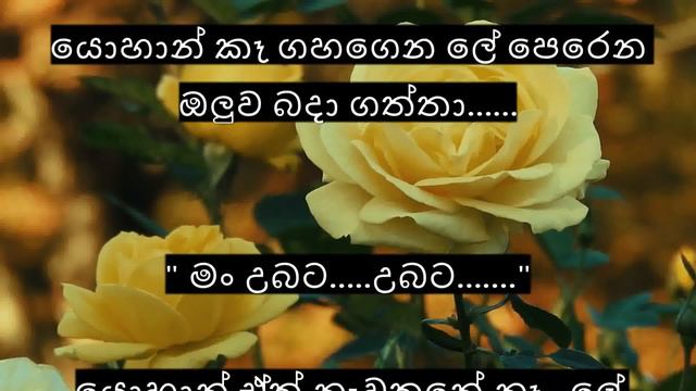 " බිඳුනු පතිදම් " 01 වන කොටස | නවකතාවකි | Bidunu Pathidam | Sinhala Novel Story смотреть онлайн
