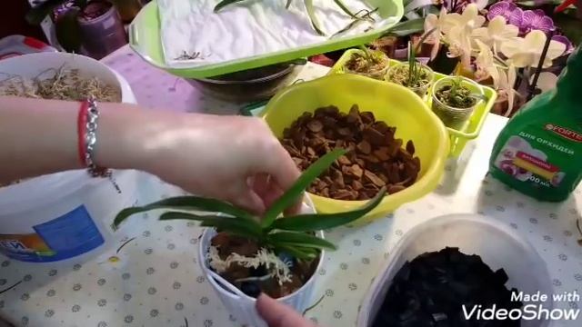 ПОДРОСТКИ ВАНДЫ | ПОСАДКА В КОРЗИНКУ смотреть онлайн