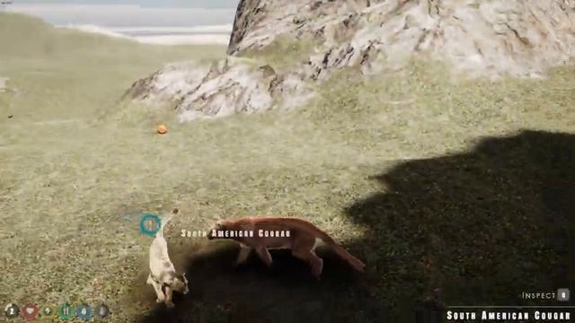 Tragedy strikes and Game Giveaway in The Wilds смотреть онлайн
