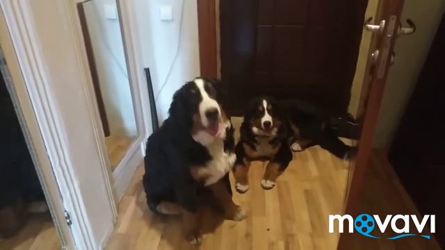 4 августа 2021 г. смотреть онлайн