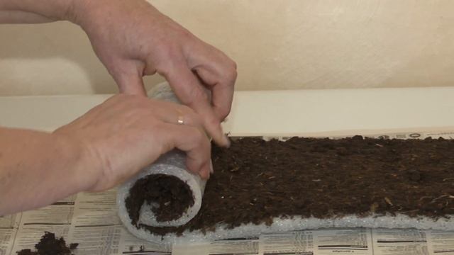 Знает всё о томатах, перцах и об уходе за посевами смотреть онлайн