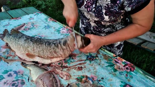 Огромная щука смотреть онлайн