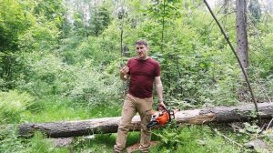 STIHL MS 170 или 180. Полный обзор бензопилы