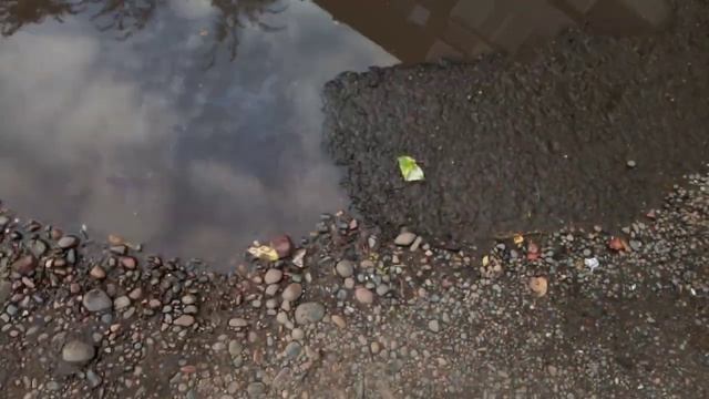 Как делают суп в школьной столовой смотреть онлайн