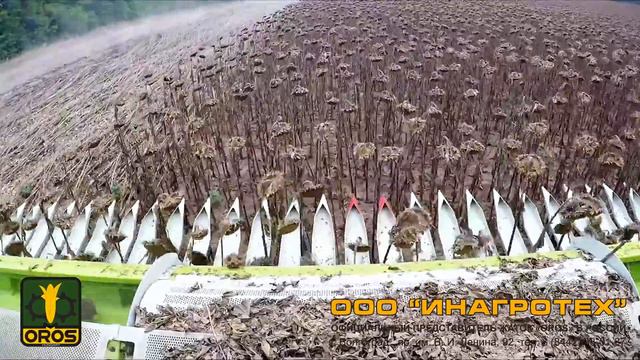 Жатка безрядковая сплошного среза для уборки подсолнечника SUNMASTER смотреть онлайн