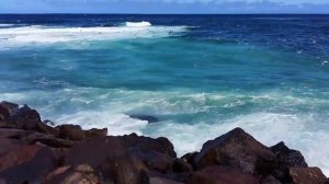 Александриец поет песню "Моря гладь"