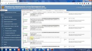 Добавление позиций в план-график в системе РИС КК